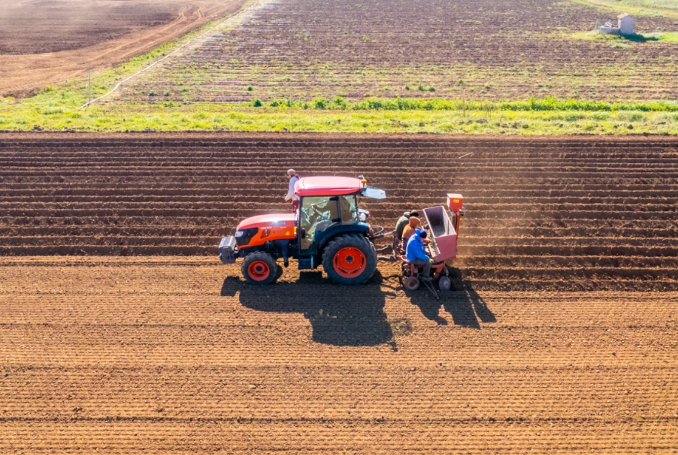 gruppo_di_maschere_46