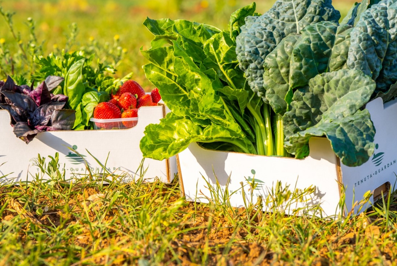 gruppo_di_maschere_47